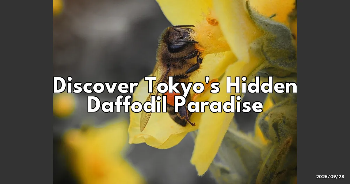 EyeCatchTitle: Discover Tokyo's Hidden Daffodil Paradise at Kasai Rinkai Park!