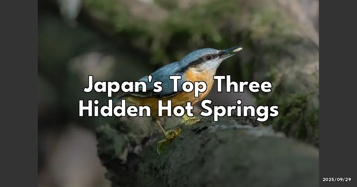 EyeCatchTitle: Discover Japan's Top Three Hidden Hot Springs: A Journey into Seclusion and Serenity