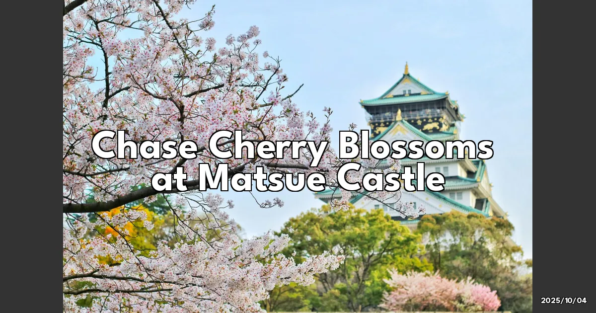 EyeCatchTitle: Chasing Cherry Blossoms at Matsue Castle: A Springtime Dream in Shimane
