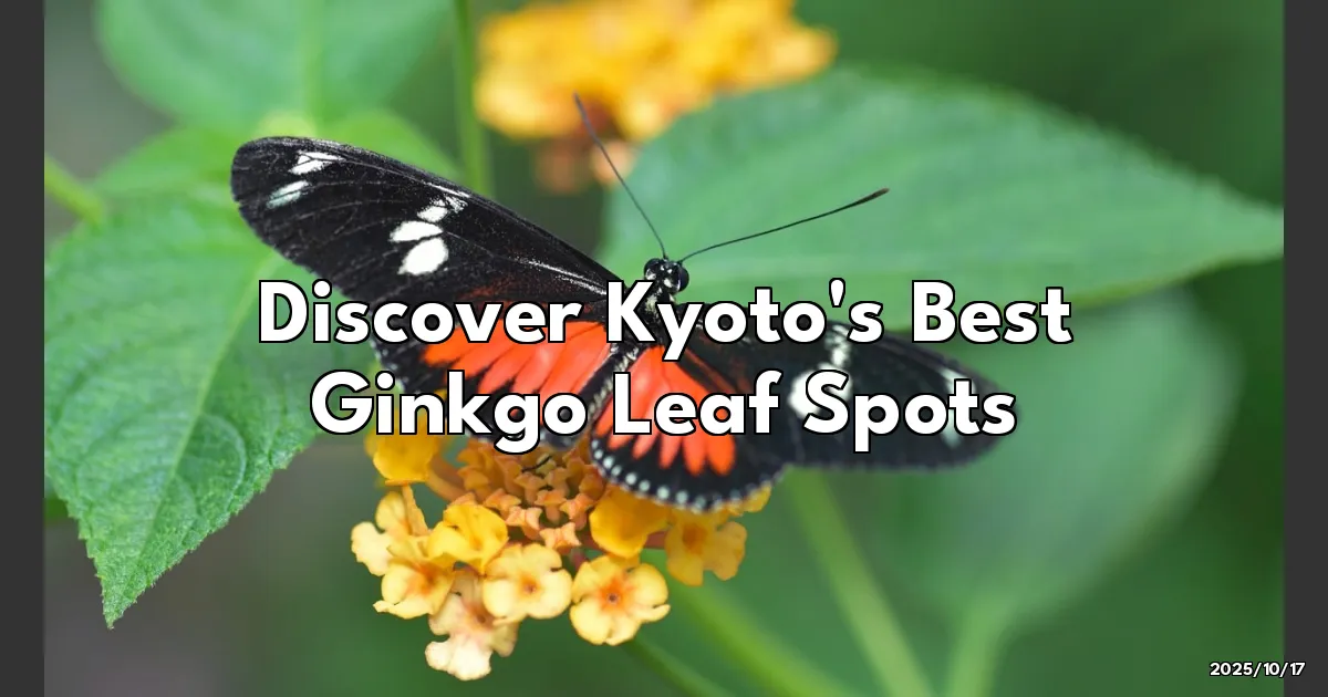 EyeCatchTitle: Lost in Kyoto's Golden Ginkgo Glow: My Favorite Leaf-Peeping Spots