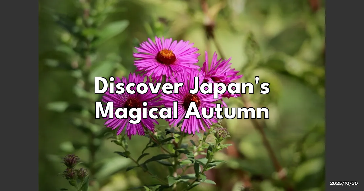 EyeCatchTitle: Discover Japan's Magical Autumn: Must-See Fall Foliage Spots