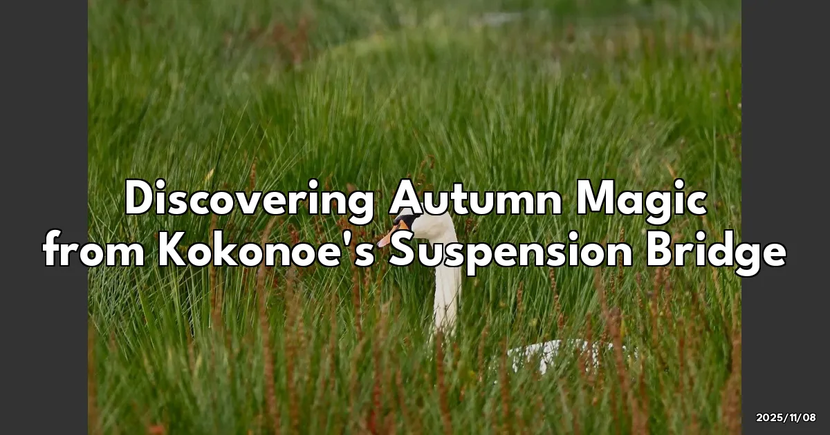 EyeCatchTitle: A Stroll in the Clouds: Discovering Autumn Magic from Kokonoe's Suspension Bridge