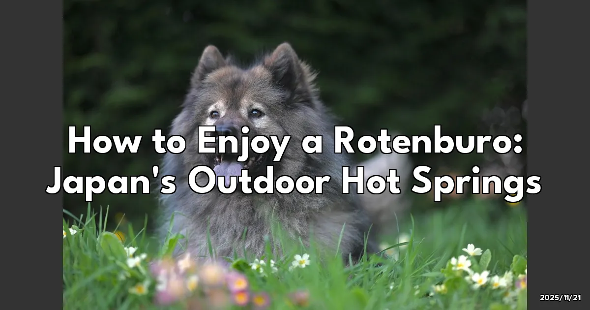 EyeCatchTitle: Embracing the Magic of Rotenburo: My Journey into Japan's Outdoor Hot Springs