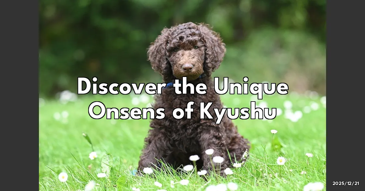 EyeCatchTitle: Chasing Steam and Serenity: My Kyushu Onsen Adventure