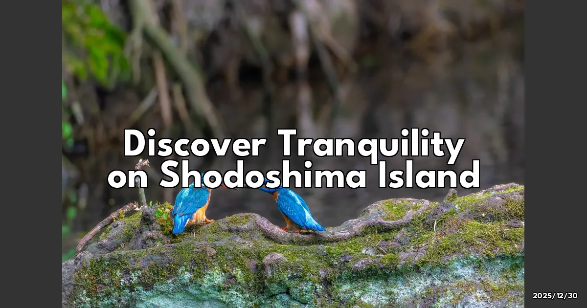 EyeCatchTitle: A Whirlwind Adventure to Shodoshima: Tranquility Wrapped in Olive Leaves