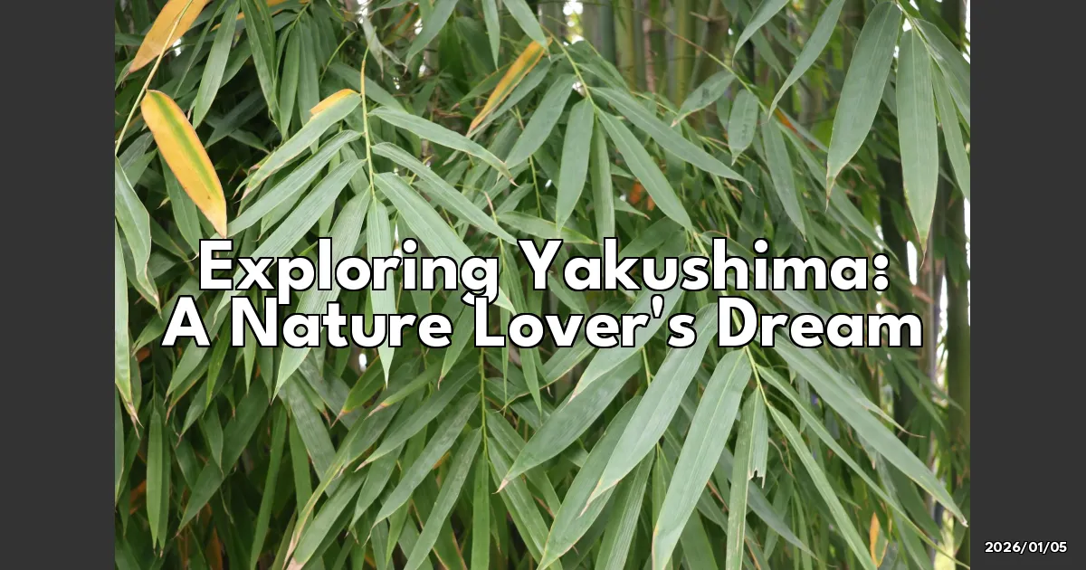 EyeCatchTitle: Getting Lost in the Mystical Forests of Yakushima