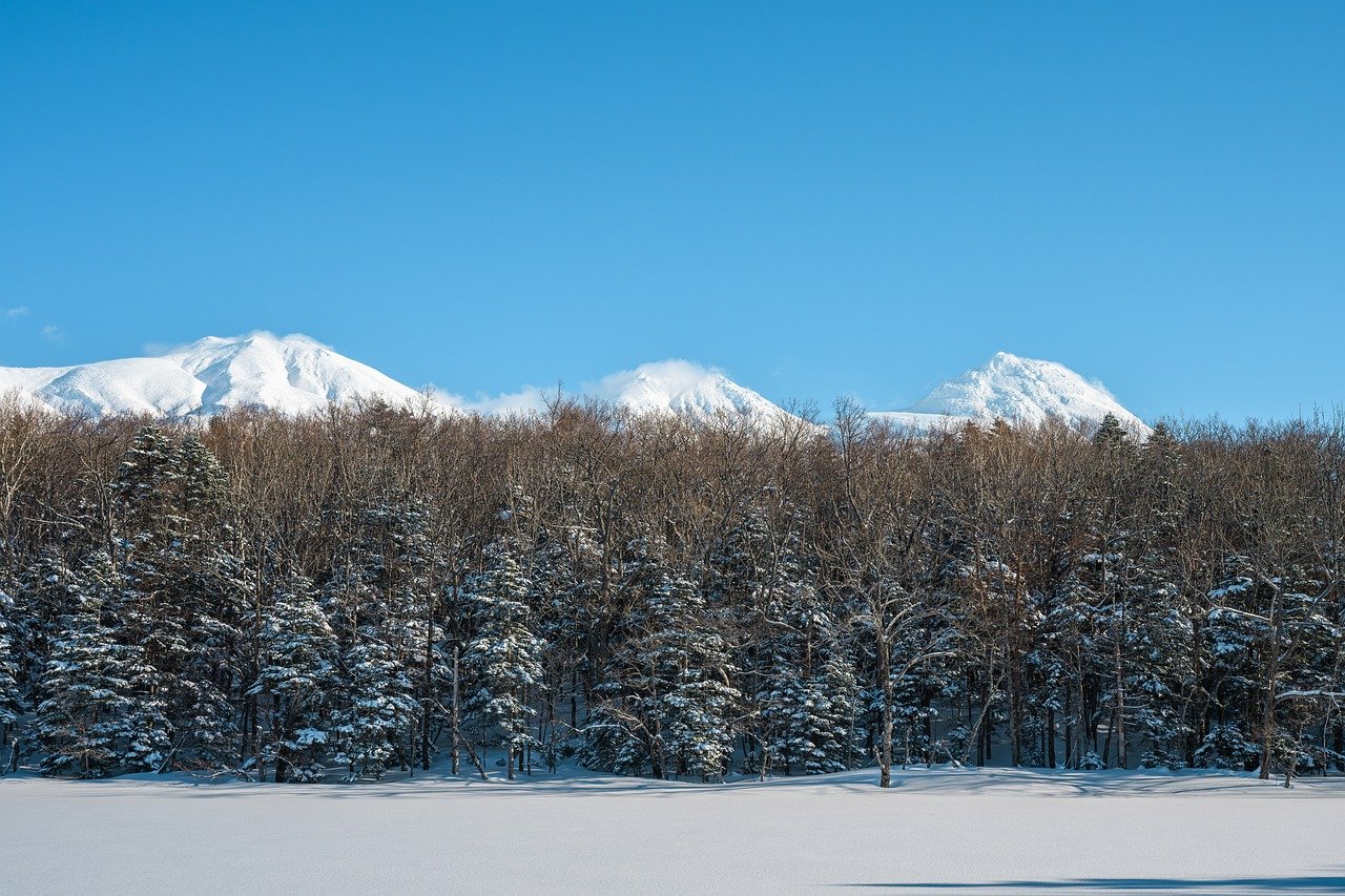 Hokkaido, lavender fields, Shiretoko Lakes