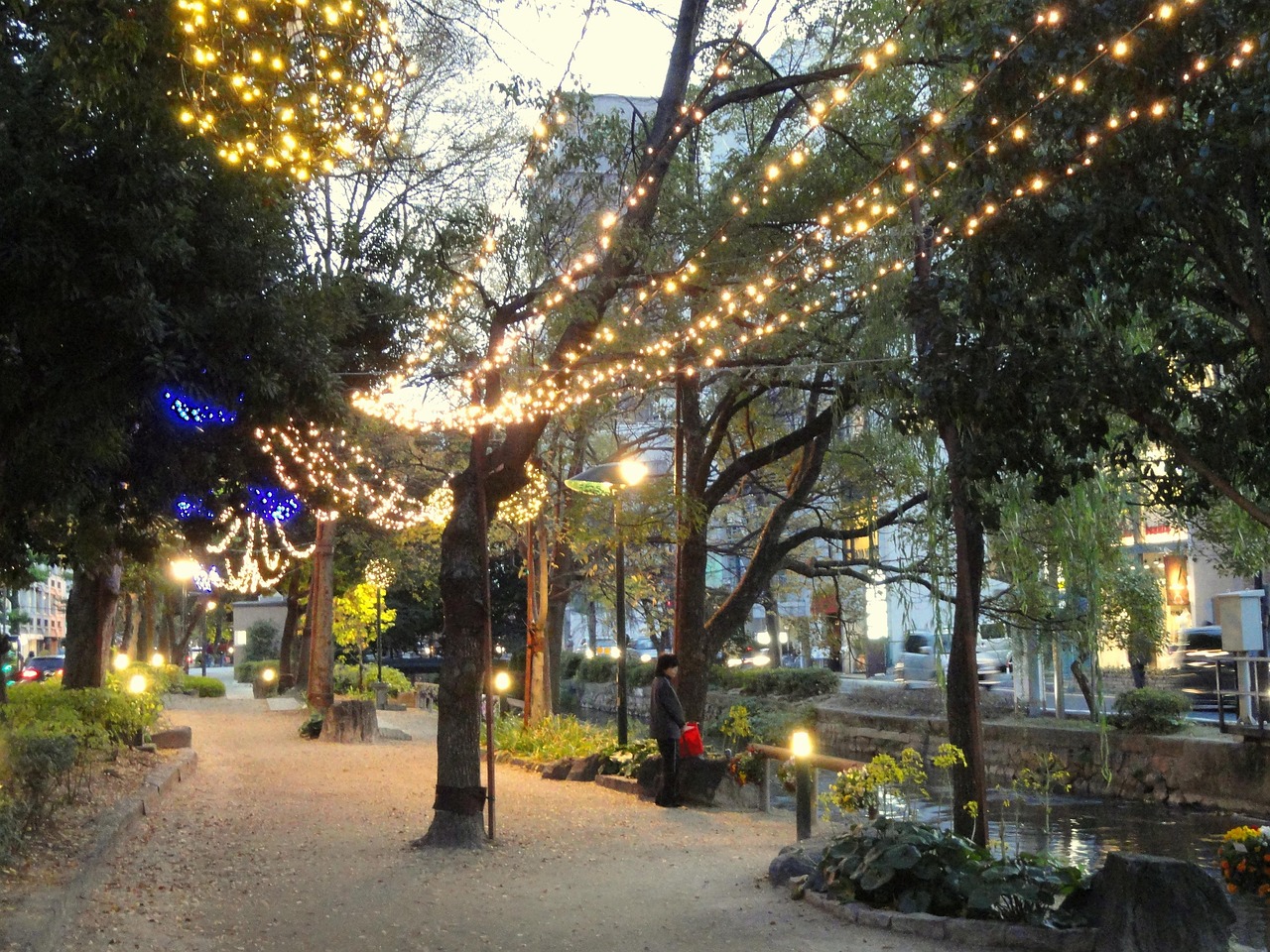 Okayama, cherry blossoms, sakura