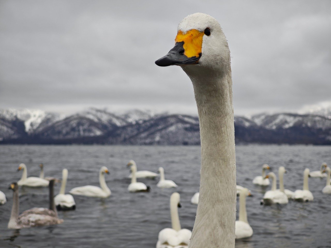 Hokkaido, Tokachi, Obihiro