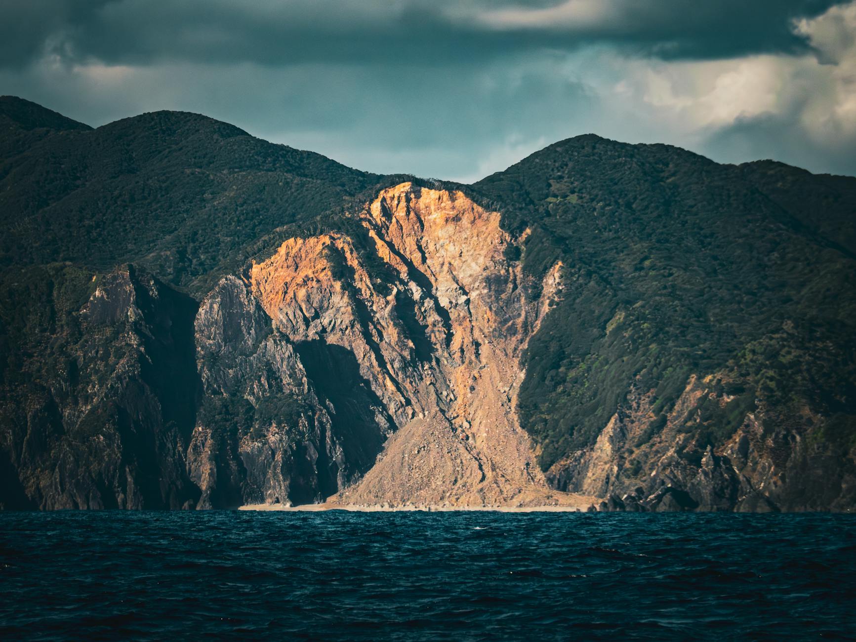 Kagoshima, cherry blossoms, sakura