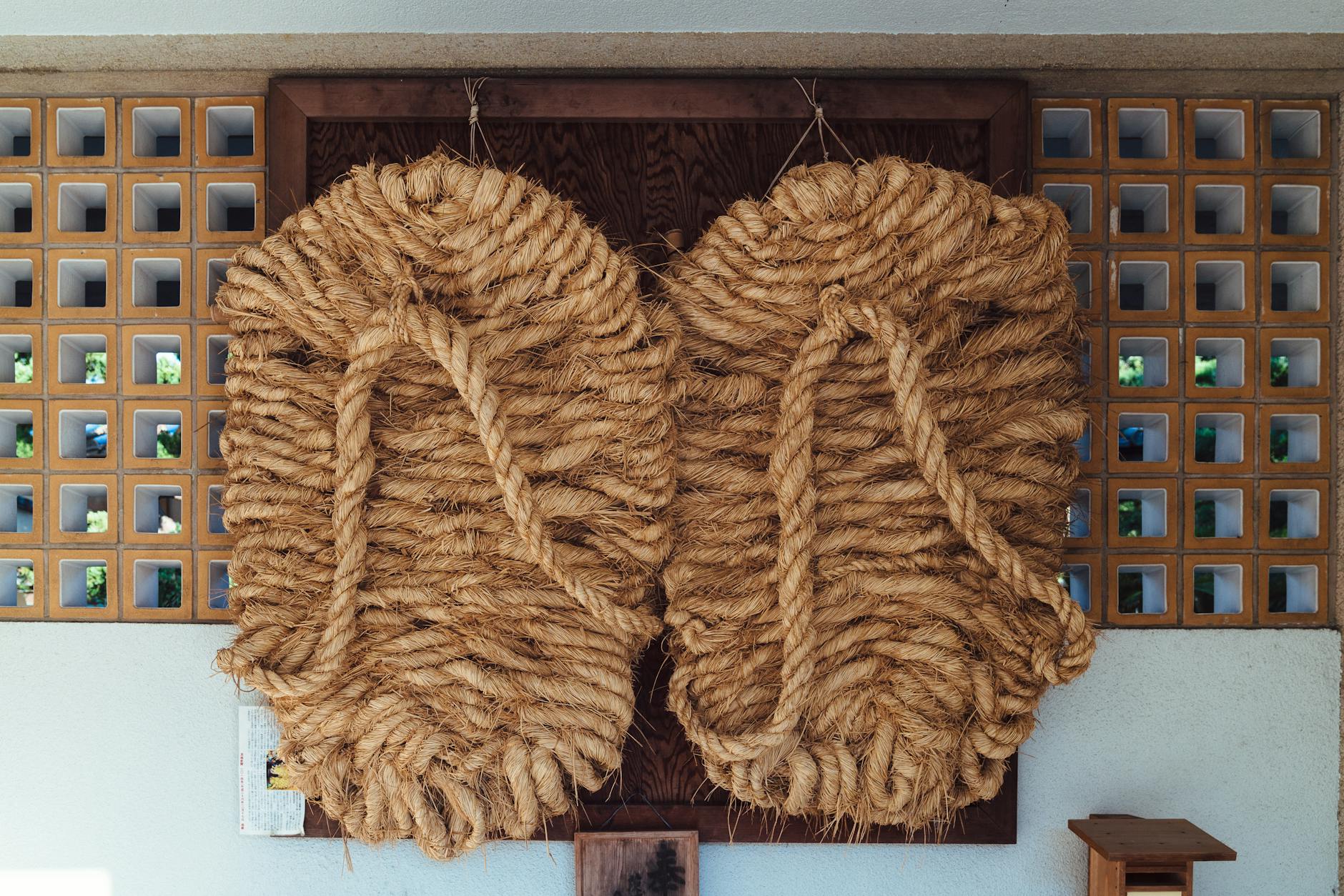 Ibaraki, cherry blossoms, sakura