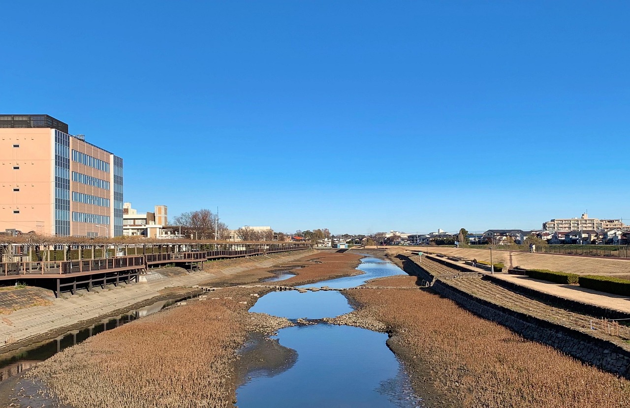 Saitama, cherry blossoms, Kumagaya