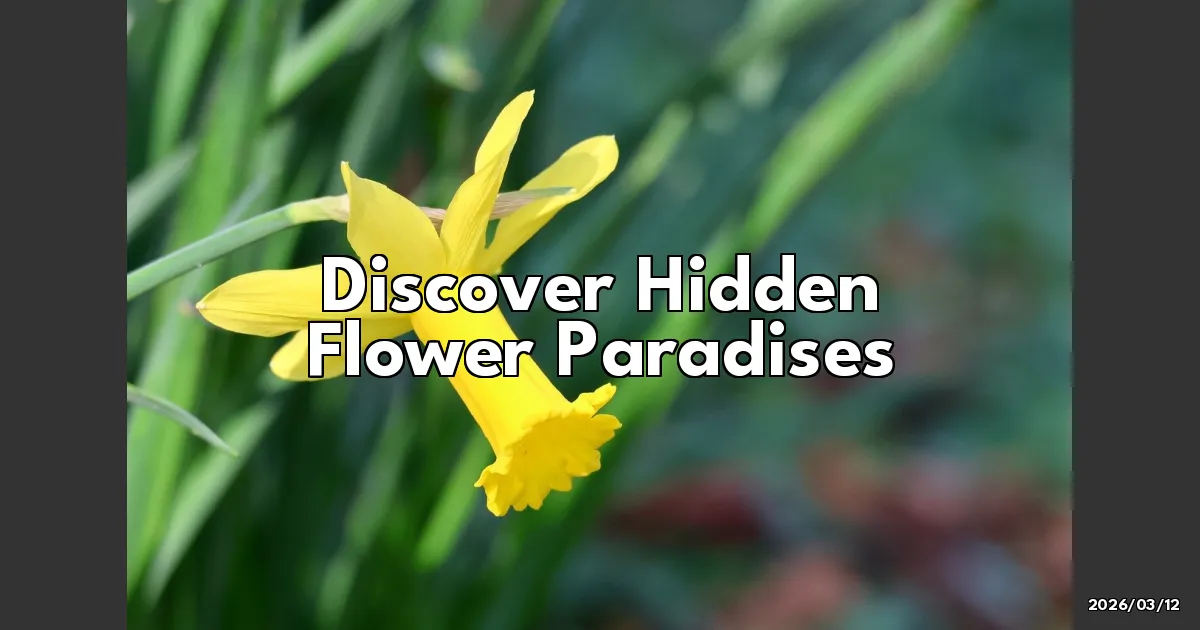 EyeCatchTitle: Discovering Hidden Flower Paradises Near Tokyo