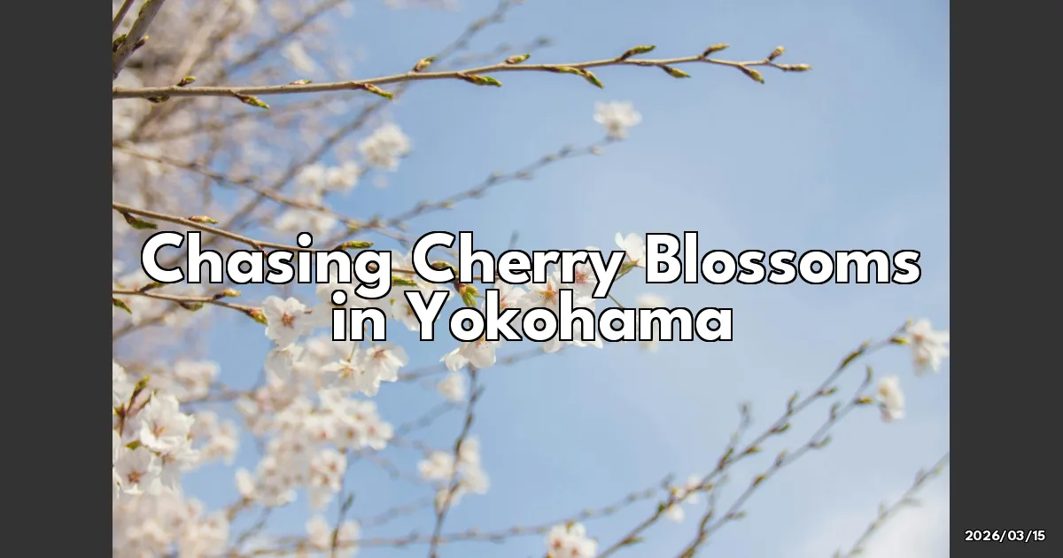 EyeCatchTitle: Chasing Cherry Blossoms in Yokohama: My Springtime Adventure