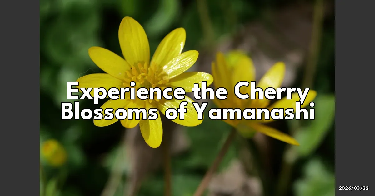 EyeCatchTitle: Chasing Cherry Blossoms in Yamanashi: A Springtime Adventure