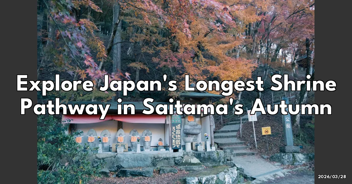 EyeCatchTitle: Discovering the Magic of Japan’s Longest Shrine Pathway in Saitama's Autumn
