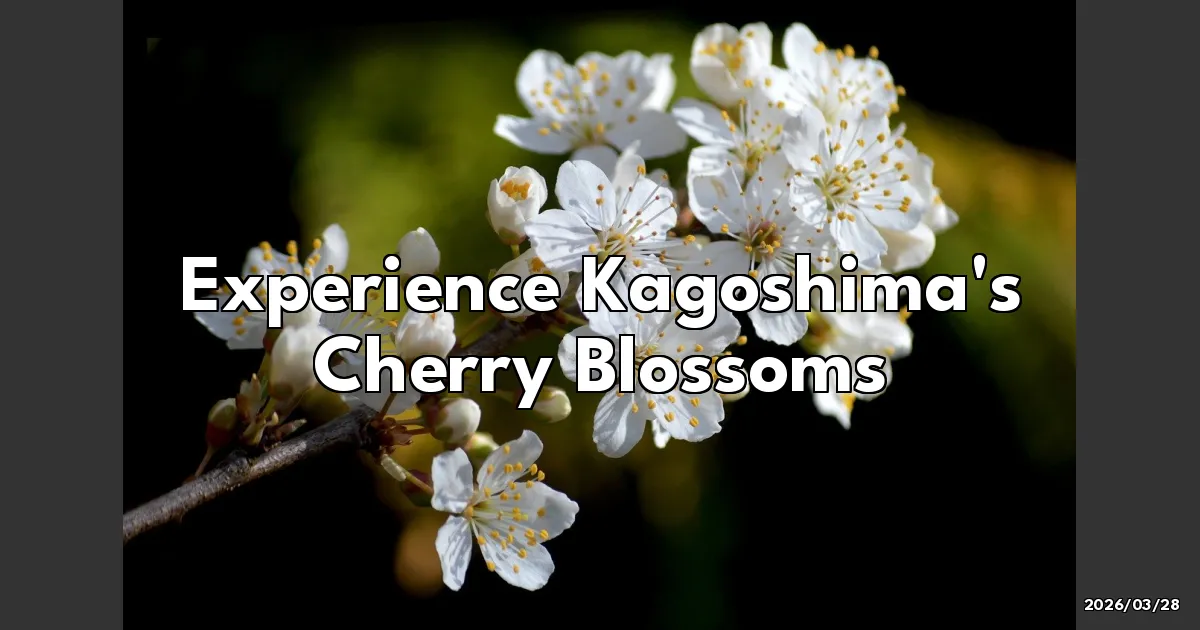 EyeCatchTitle: Chasing Sakura in Kagoshima: A Blossoming Adventure!