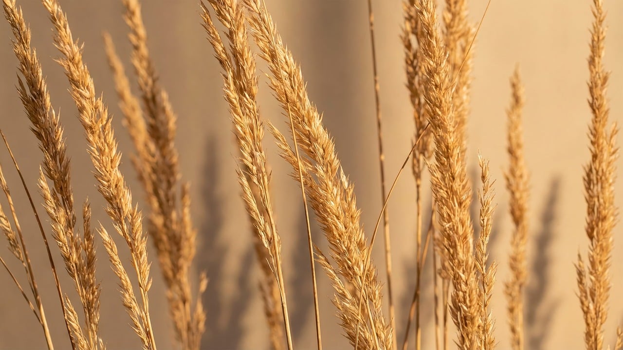 Yokohama, autumn, fall foliage