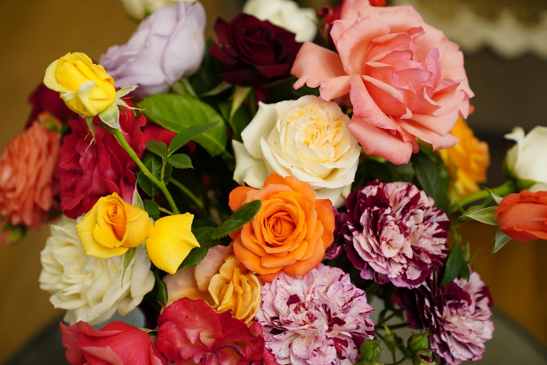 Japan flowers, roses, wisteria