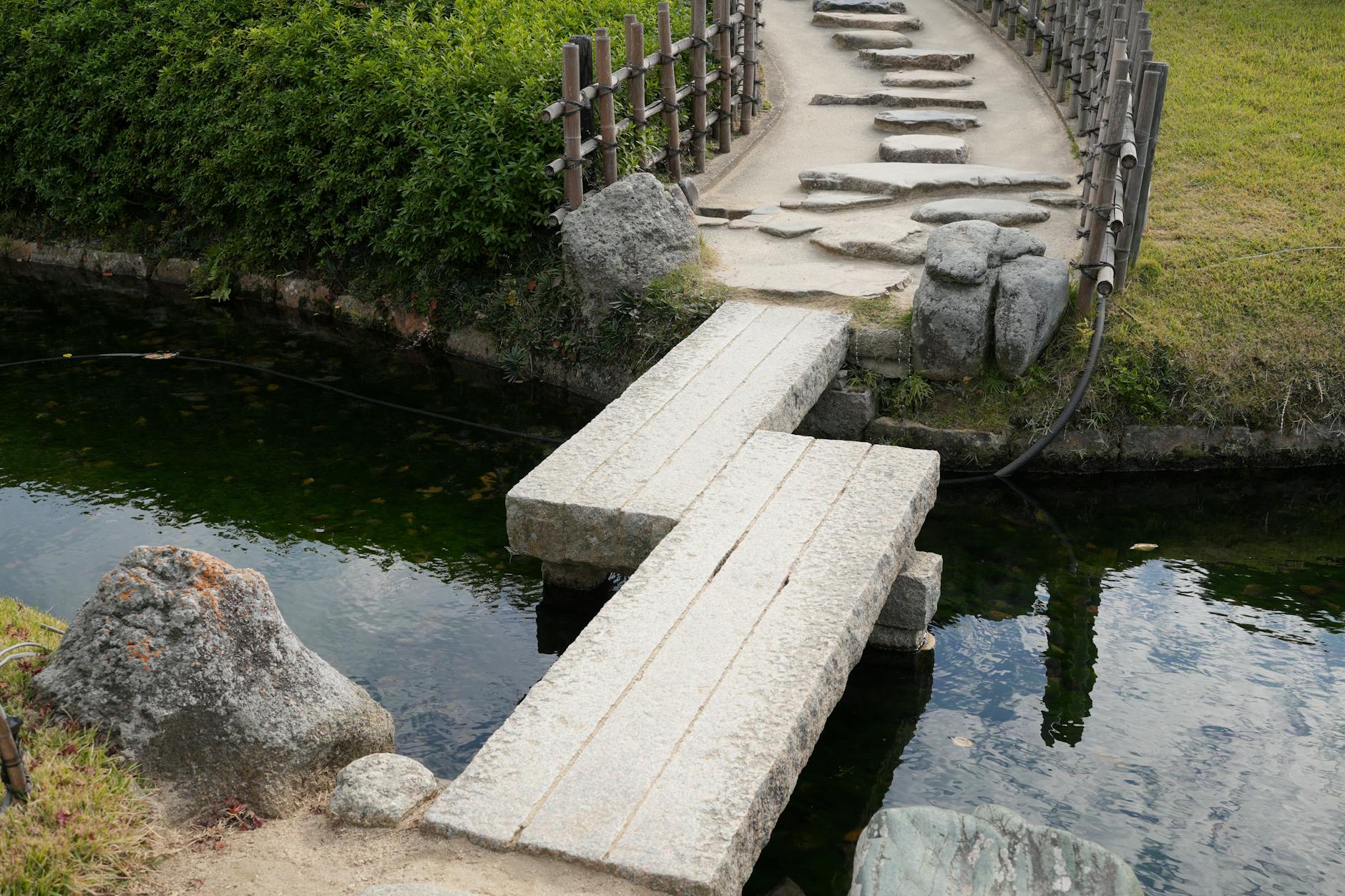Okayama cherry blossoms, Korakuen garden, Tsuyama Castle