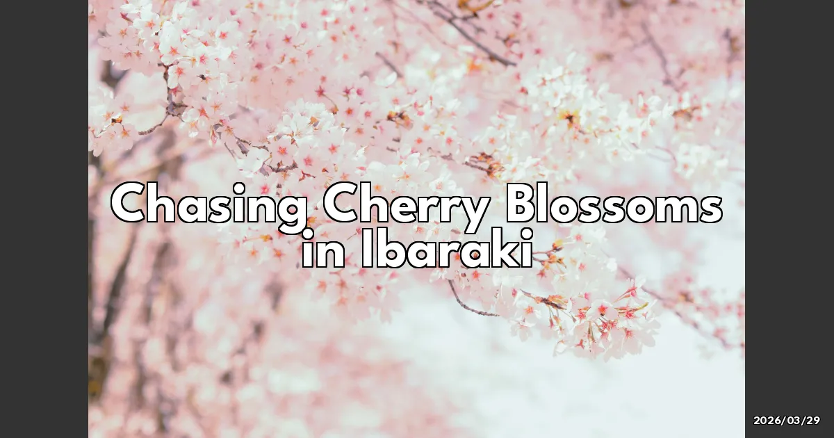 EyeCatchTitle: Chasing Cherry Blossoms in Ibaraki: A Spring Adventure!