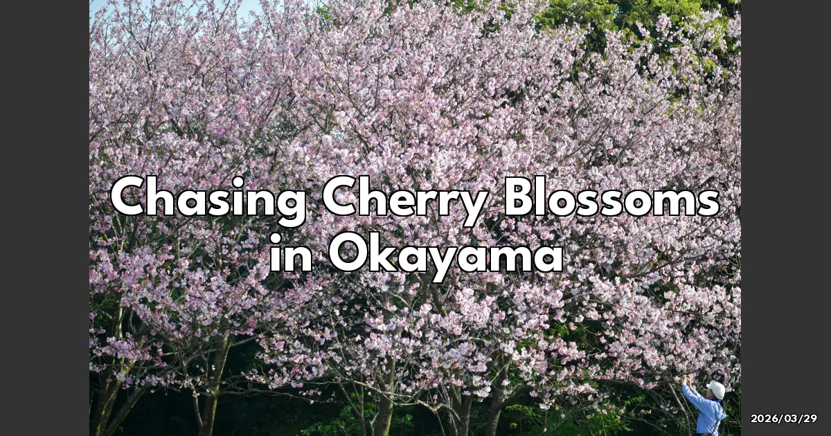 EyeCatchTitle: Chasing Cherry Blossoms in Okayama: My Unforgettable Spring Adventure!
