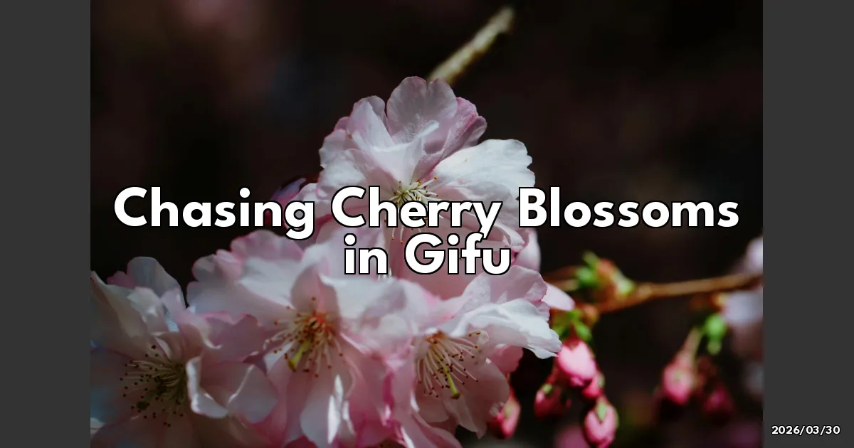 EyeCatchTitle: Chasing Cherry Blossoms in Gifu: A Journey Through Time and Petals!