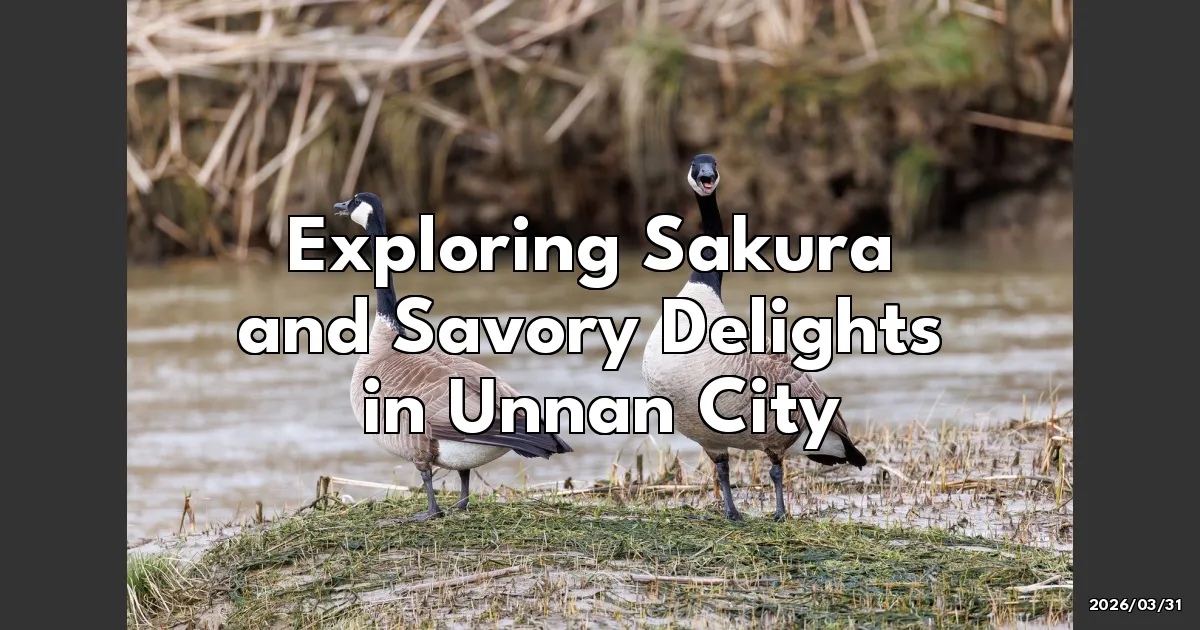 EyeCatchTitle: Springtime Wonders: Exploring Sakura and Savory Delights in Unnan City