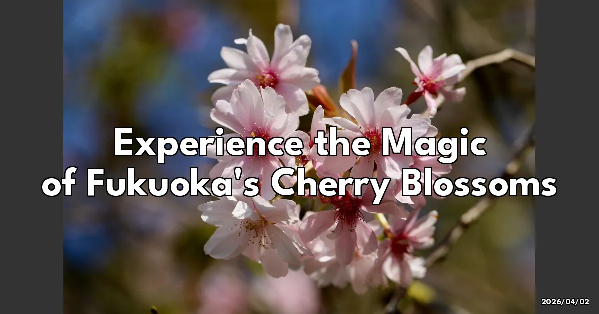 EyeCatchTitle: Chasing Cherry Blossoms: My Adventure in Fukuoka's Blooming Beauties