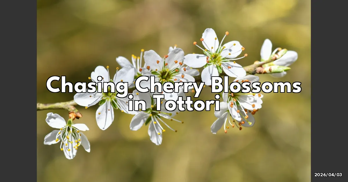 EyeCatchTitle: Chasing Cherry Blossoms in Tottori: A Spring Adventure You Can't Miss!